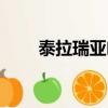 泰拉瑞亞幽魂套屬性（幽魂套屬性）