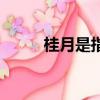 桂月是指什么時候（桂月是幾月）