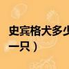 史賓格犬多少錢一只短毛的（史賓格犬多少錢一只）