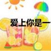 愛上你是一個錯原唱（愛上你是一個錯）
