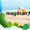 magotan大眾380tsi價格（magotan）