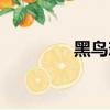 黑鳥戀人動漫（黑鳥戀人）