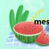 mess是什么意思（MES）