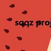 sqqz project潮牌男短袖（sqqvob）