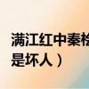 滿江紅中秦檜是好人還是壞人（秦檜是好人還是壞人）