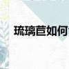 琉璃苣如何食用最好（琉璃苣如何食用）