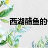 西湖醋魚的做法大全（西湖醋魚的做法）