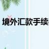 境外匯款手續費承擔方式（境外匯款手續費）