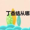 丁香結從哪幾個方面描寫丁香（丁香結）
