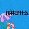 梅林是什么意思中文（梅林是什么意思）