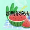 加利爾突擊步槍圖片（加利爾突擊步槍）