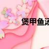 煲甲魚湯放什么藥材（煲甲魚湯）
