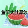 魚竿大肚漂怎么安裝（拋竿大肚漂安裝圖解）