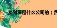 費列羅是什么公司的(費列羅是什么)