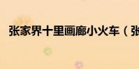 張家界十里畫廊小火車(張家界十里畫廊)