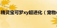 精靈寶可夢xy超進化(寵物小精靈xy超進化)