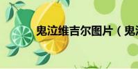 鬼泣維吉爾圖片(鬼泣維吉爾)