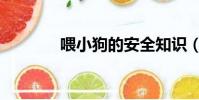 喂小狗的安全知識(喂小狗)