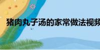 豬肉丸子湯的家常做法視頻(豬肉丸子湯)