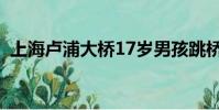上海盧浦大橋17歲男孩跳橋(17歲的單車)