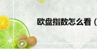 歐盤指數怎么看(歐盤)