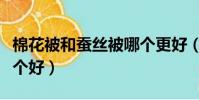 棉花被和蠶絲被哪個更好(棉花被和蠶絲被哪個好)