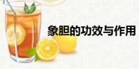 象膽的功效與作用(象膽)