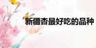 新疆杏最好吃的品種(新疆杏)