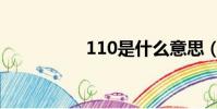 110是什么意思(110)