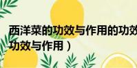 西洋菜的功效與作用的功效和作用(西洋菜的功效與作用)