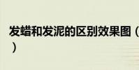 發蠟和發泥的區別效果圖(發蠟和發泥的區別)