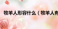 牧羊人形容什么(牧羊人有什么內涵意思)