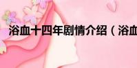 浴血十四年劇情介紹(浴血十四年演員表)