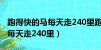跑得快的馬每天走240里跑的嗎(跑得快的馬每天走240里)