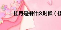 桂月是指什么時候(桂月是幾月)