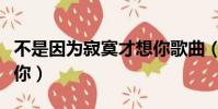 不是因為寂寞才想你歌曲(不是因為寂寞才想你)