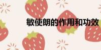 敏使朗的作用和功效(敏瑞德)