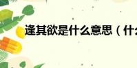 逢其欲是什么意思(什么逢其什么)