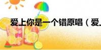 愛上你是一個錯原唱(愛上你是一個錯)