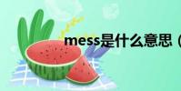 mess是什么意思(MES)
