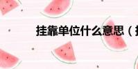 掛靠單位什么意思(掛靠單位)