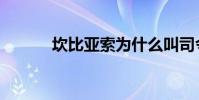 坎比亞索為什么叫司令(坎比)
