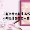 山有木兮木有枝 心悅君兮君不知是哪首歌（山有木兮木有枝心悅君兮君不知是什么意思人生若只如初見何事秋風悲畫扇是什么意思）
