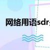 網絡用語sdr是什么意思（sdr是什么意思）
