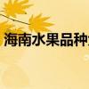 海南水果品種大全名字（水果品種大全名字）