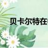 貝卡爾特在中國有多少工廠（貝卡爾特）