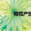 橄欖產地哪里最好吃（橄欖產地）