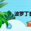 波羅丁套裝（dnf波羅丁的證物）