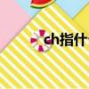 ch指什么（什么叫CHDbits啊）