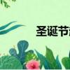 圣誕節起源由來（圣誕節起源）